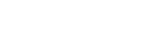 Logo Domo
